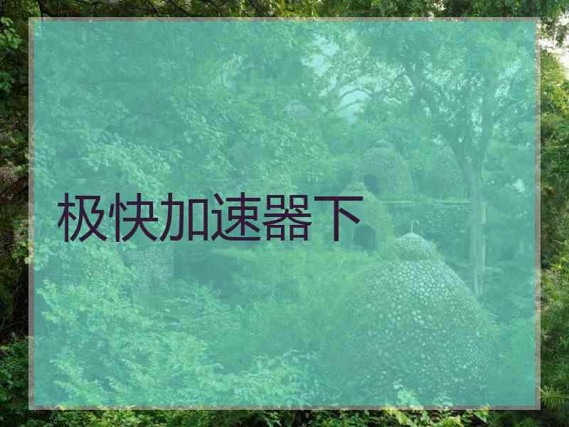极快加速器下