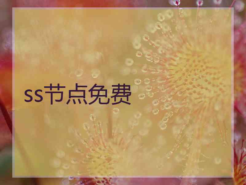ss节点免费