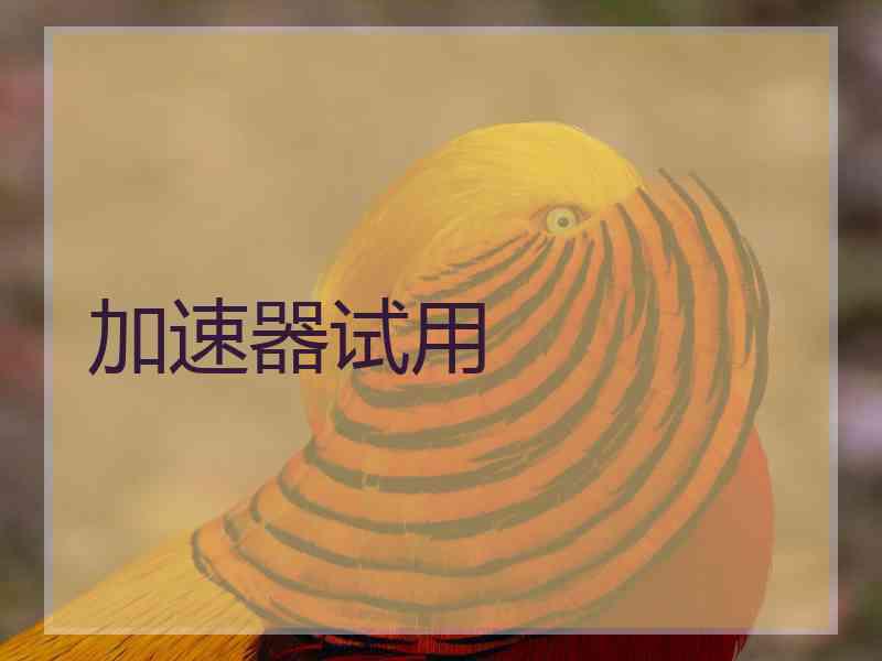 加速器试用