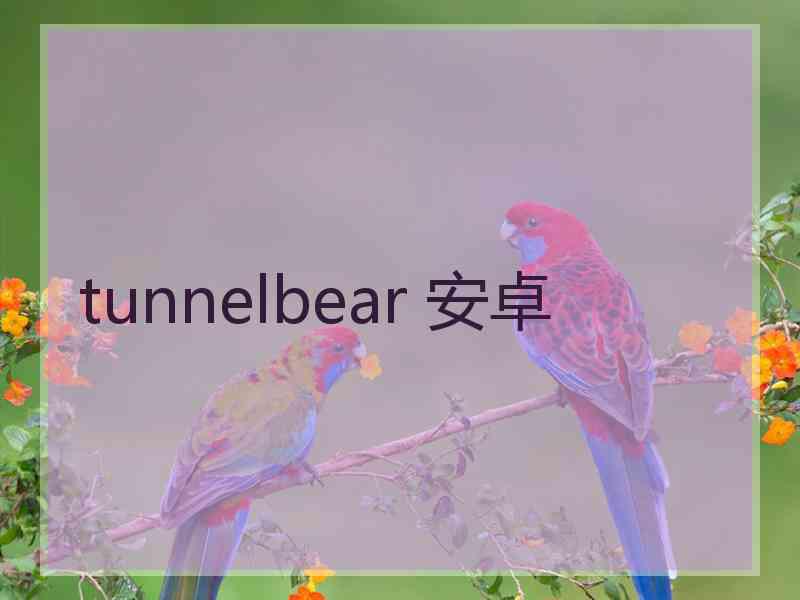 tunnelbear 安卓