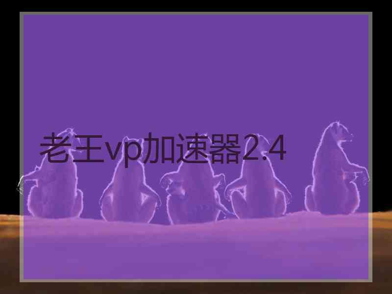 老王vp加速器2.4