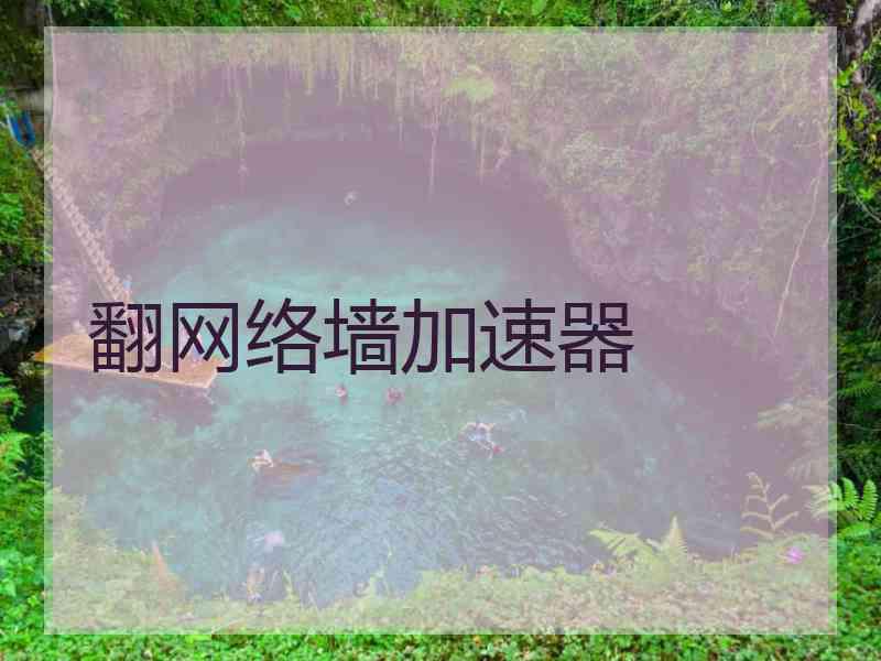 翻网络墙加速器
