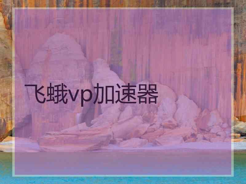飞蛾vp加速器