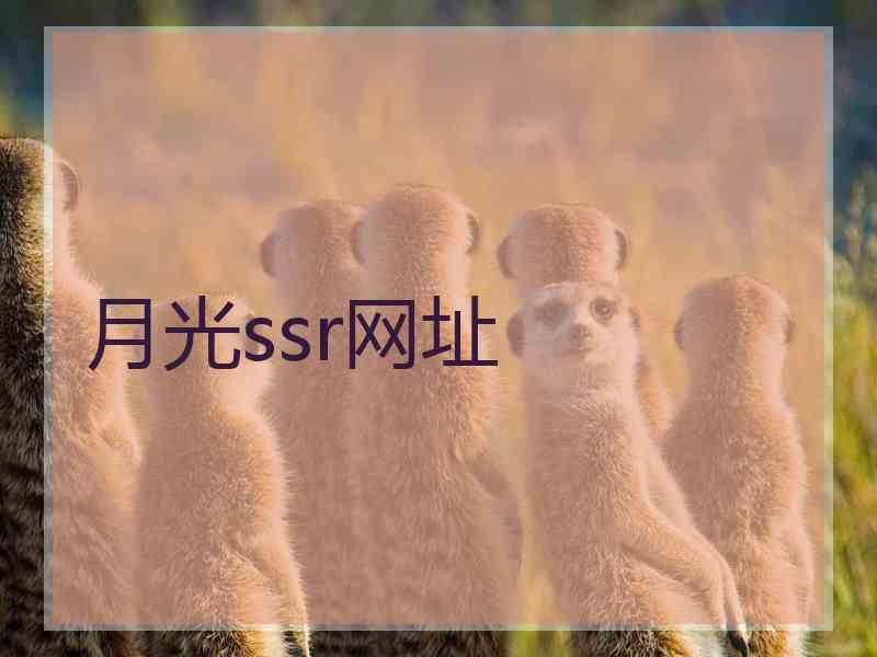 月光ssr网址