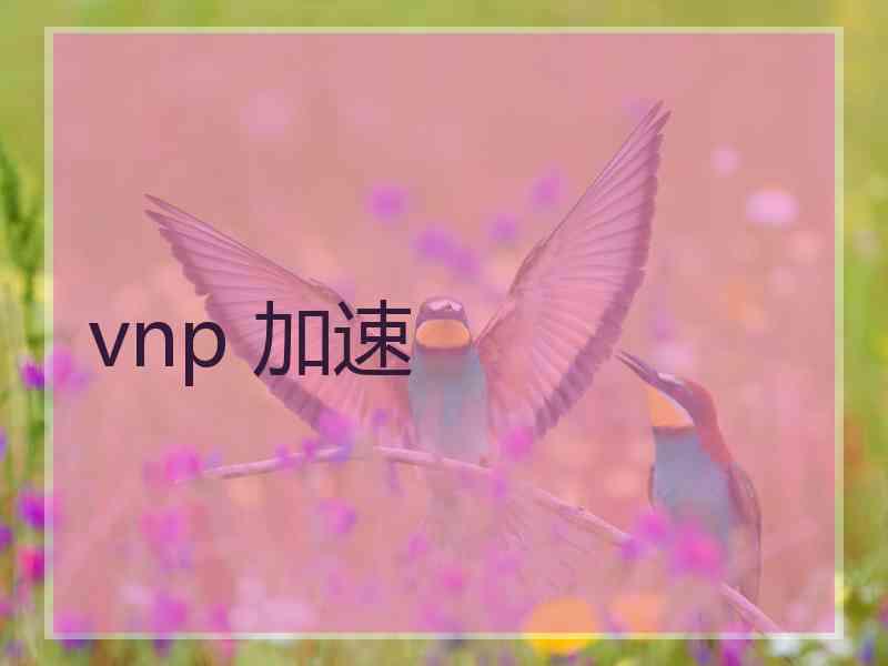 vnp 加速
