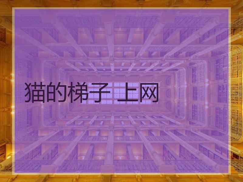 猫的梯子 上网