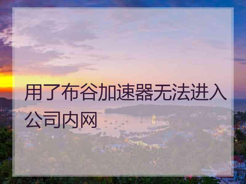 用了布谷加速器无法进入公司内网