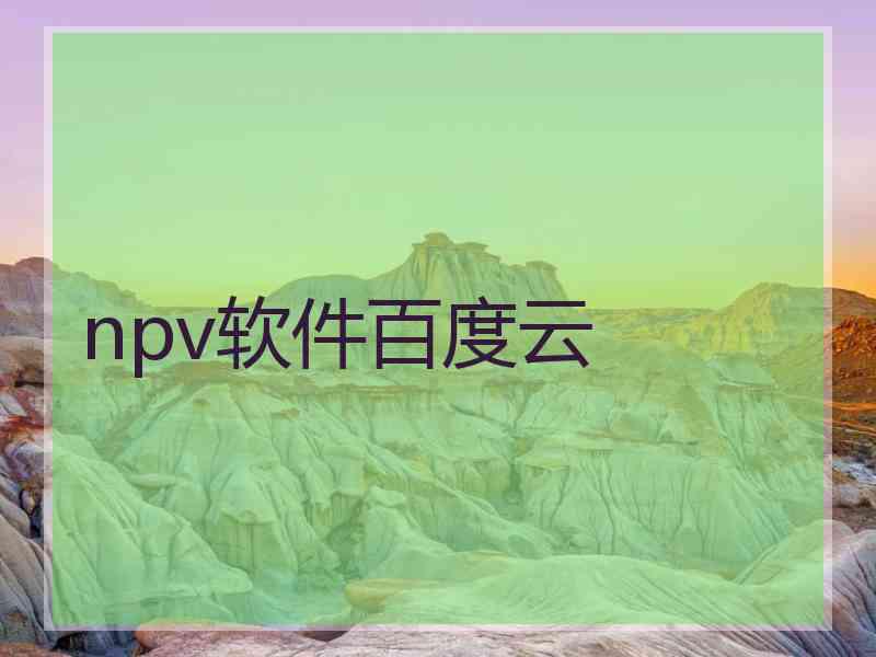 npv软件百度云