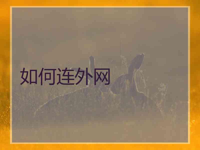 如何连外网