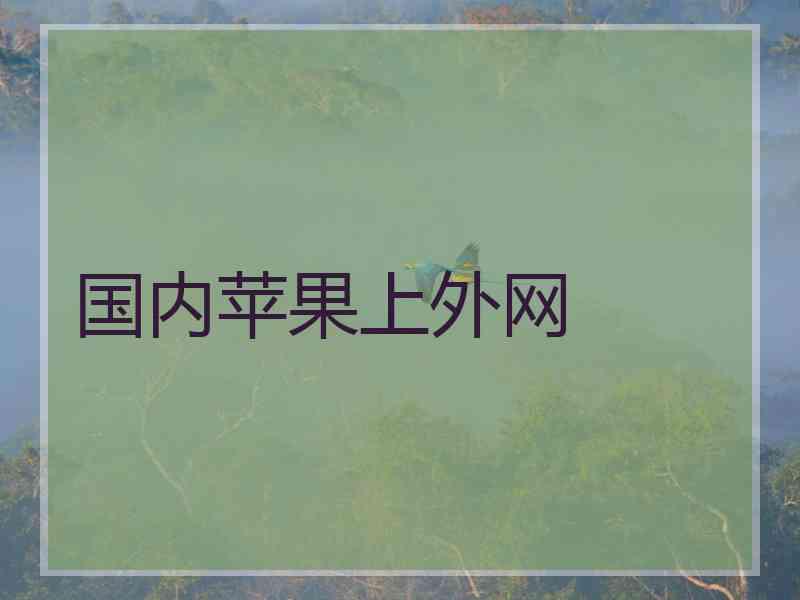 国内苹果上外网