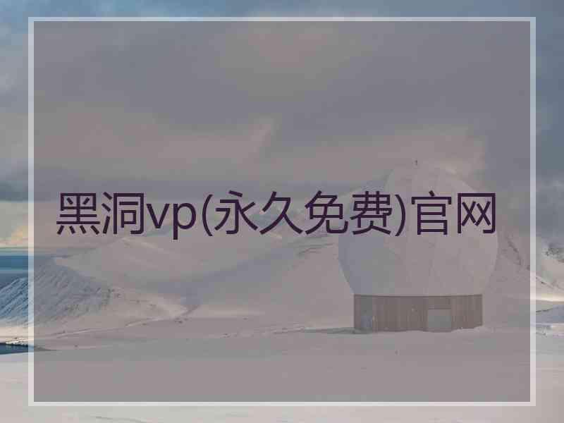 黑洞vp(永久免费)官网