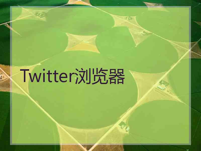 Twitter浏览器