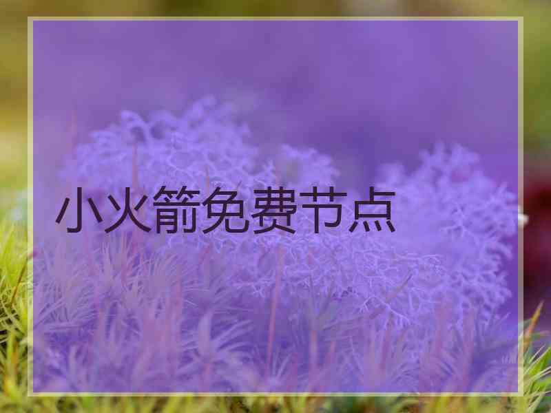 小火箭免费节点