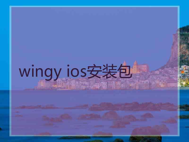 wingy ios安装包
