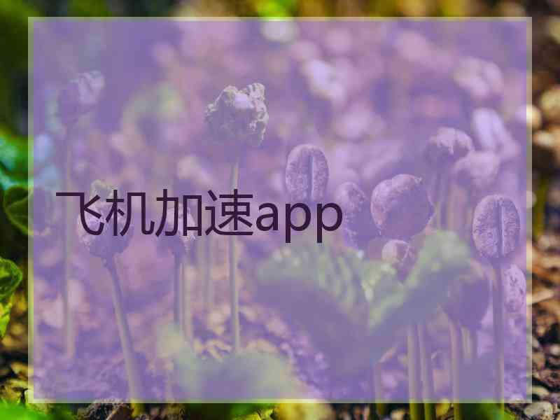飞机加速app