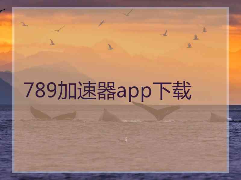 789加速器app下载