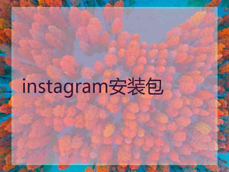 instagram安装包