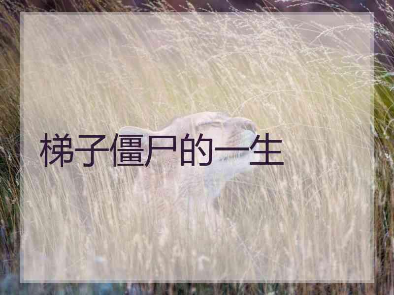 梯子僵尸的一生