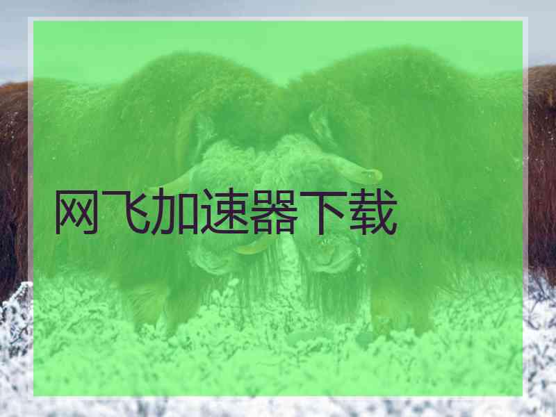 网飞加速器下载