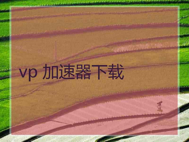 vp 加速器下载