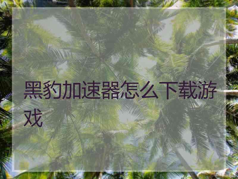 黑豹加速器怎么下载游戏