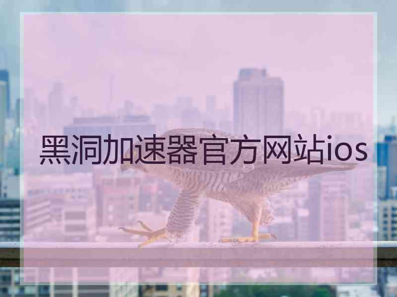 黑洞加速器官方网站ios