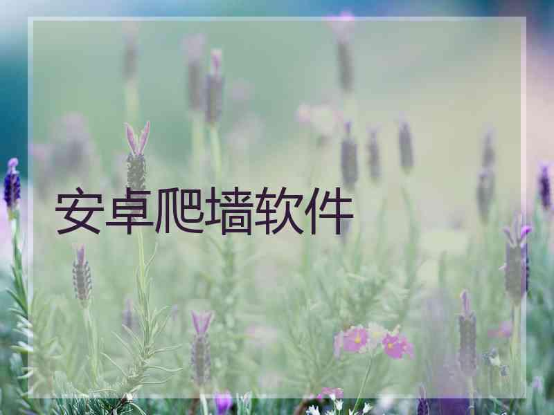 安卓爬墙软件