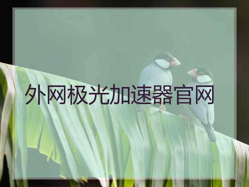 外网极光加速器官网