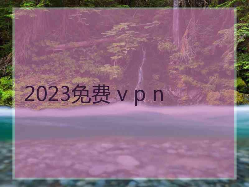2023免费 v p n
