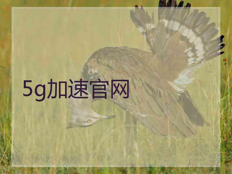 5g加速官网