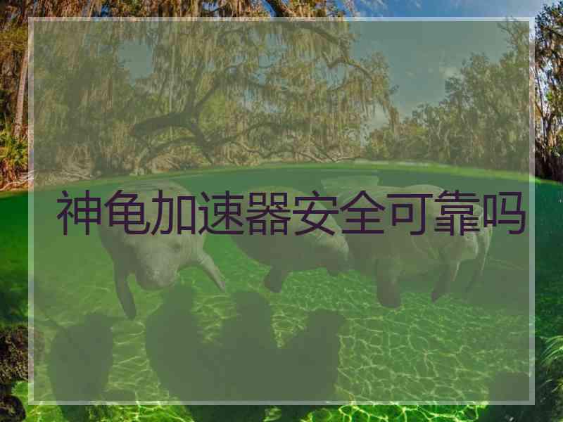 神龟加速器安全可靠吗