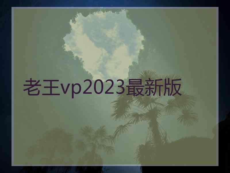 老王vp2023最新版