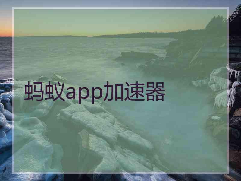 蚂蚁app加速器