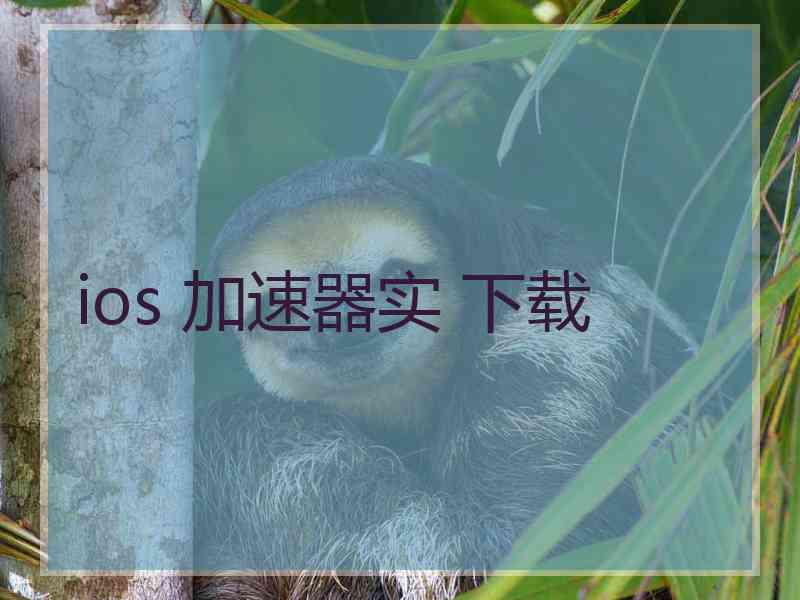 ios 加速器实 下载