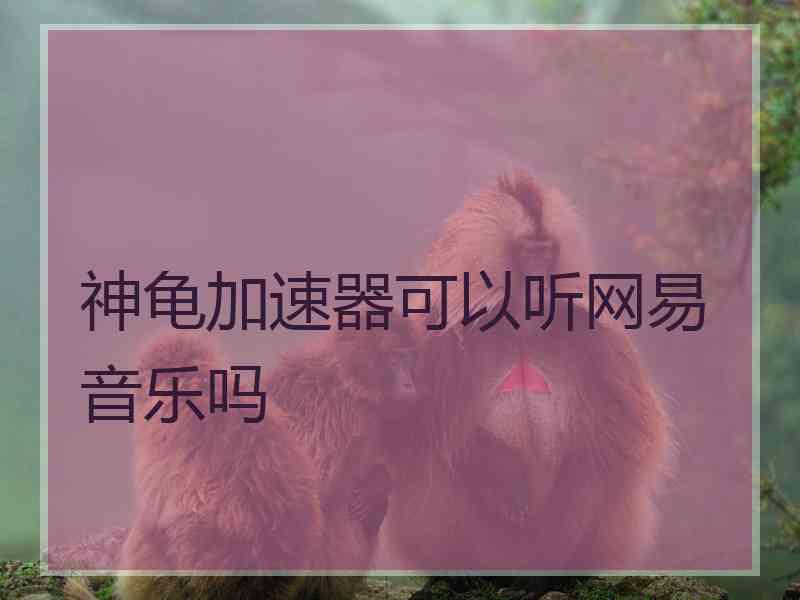 神龟加速器可以听网易音乐吗