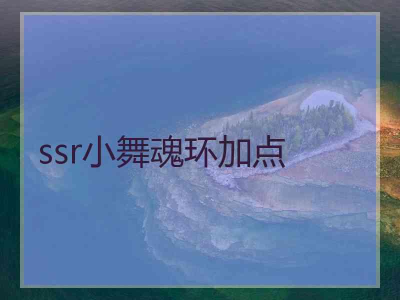 ssr小舞魂环加点