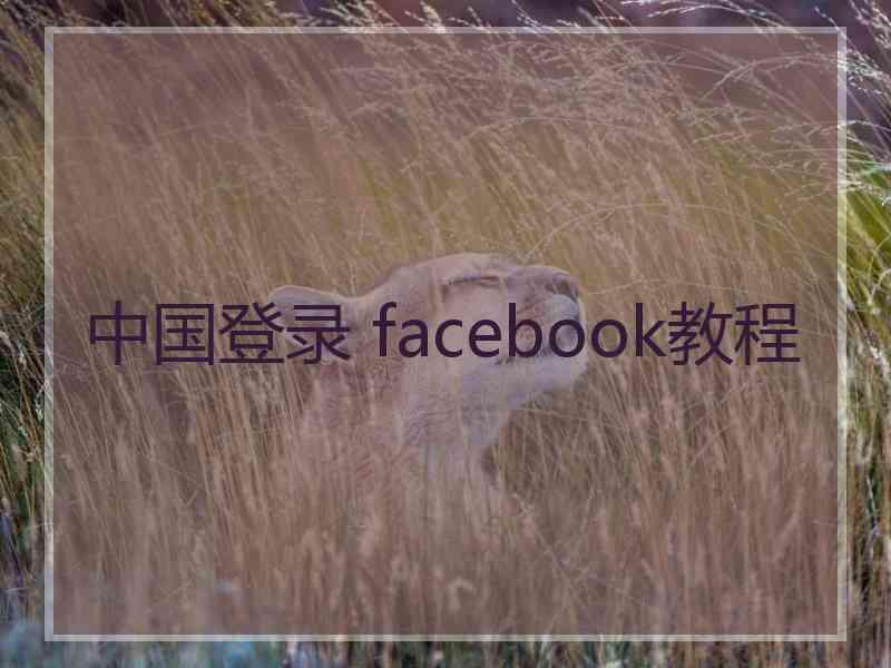 中国登录 facebook教程
