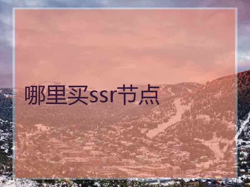 哪里买ssr节点