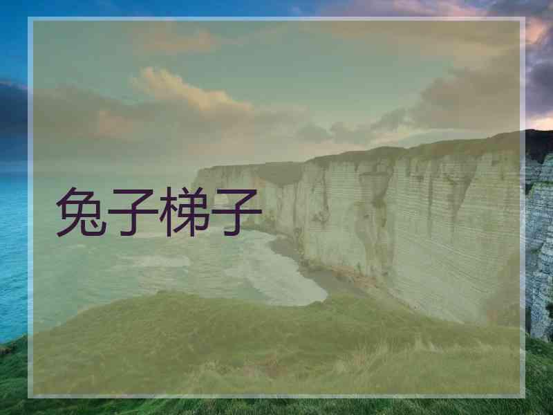 兔子梯子