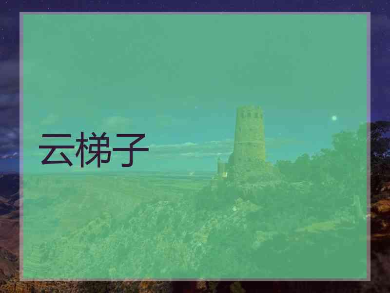 云梯子