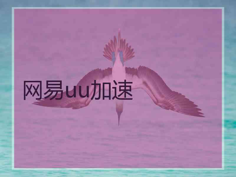 网易uu加速