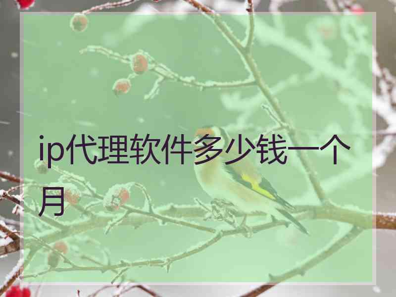ip代理软件多少钱一个月