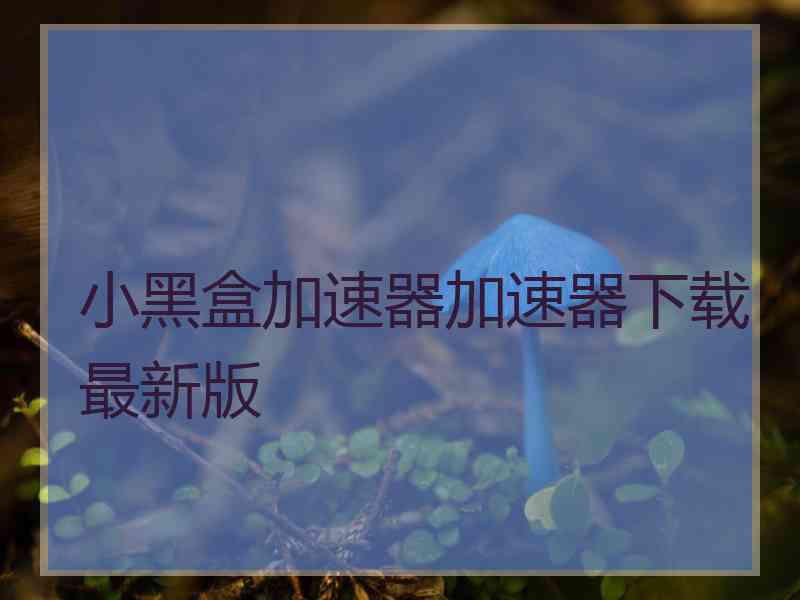 小黑盒加速器加速器下载最新版