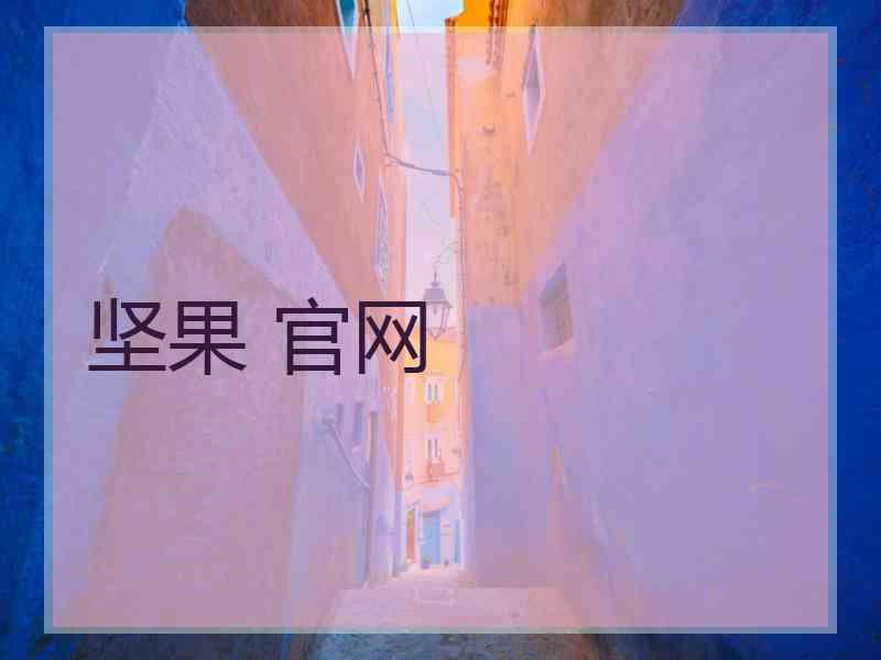 坚果 官网