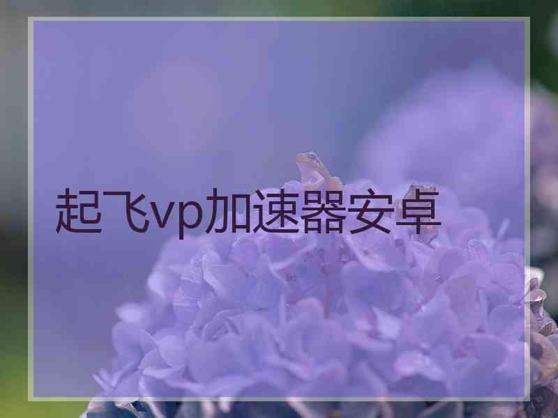 起飞vp加速器安卓
