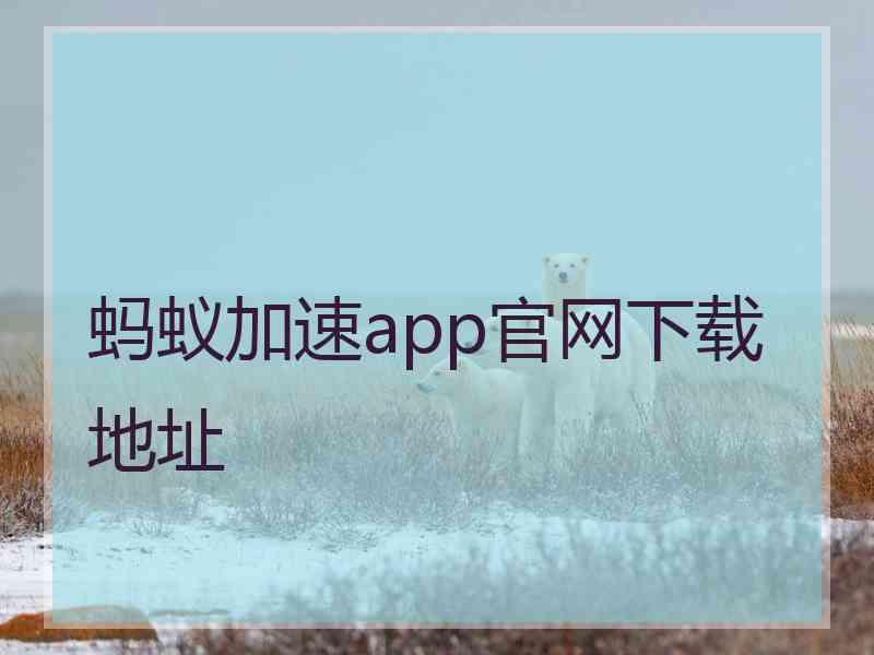 蚂蚁加速app官网下载地址