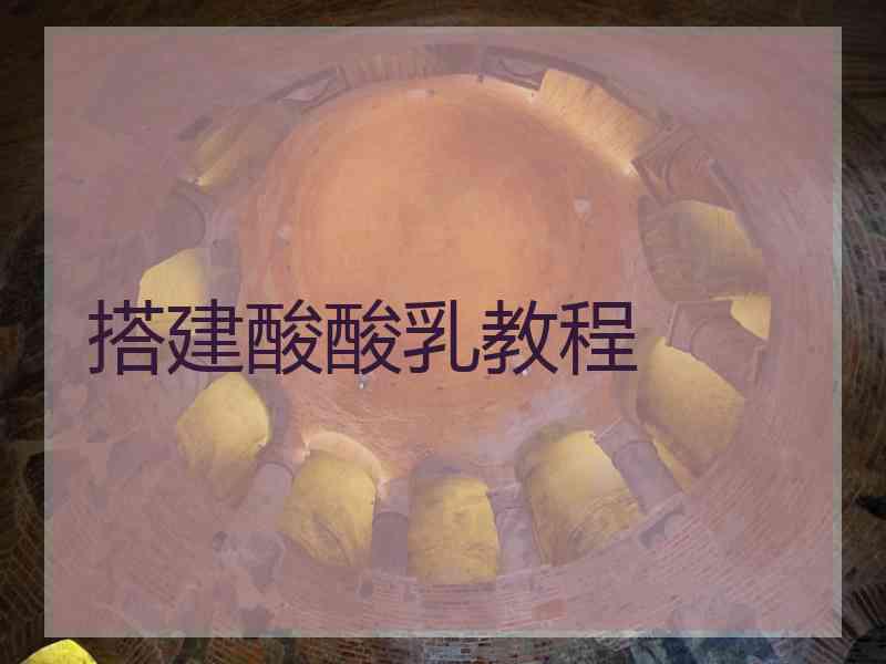 搭建酸酸乳教程