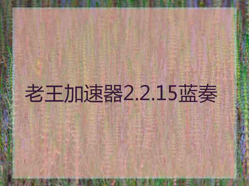 老王加速器2.2.15蓝奏