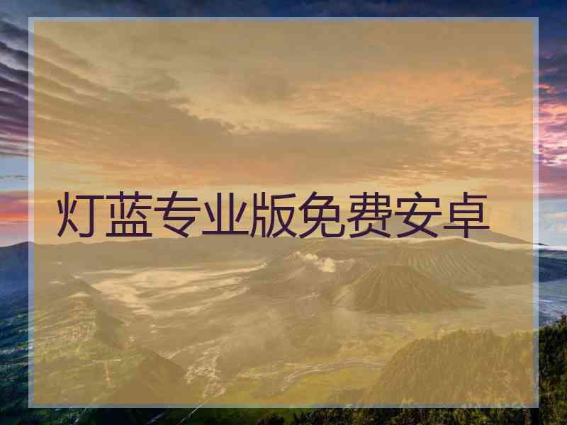 灯蓝专业版免费安卓