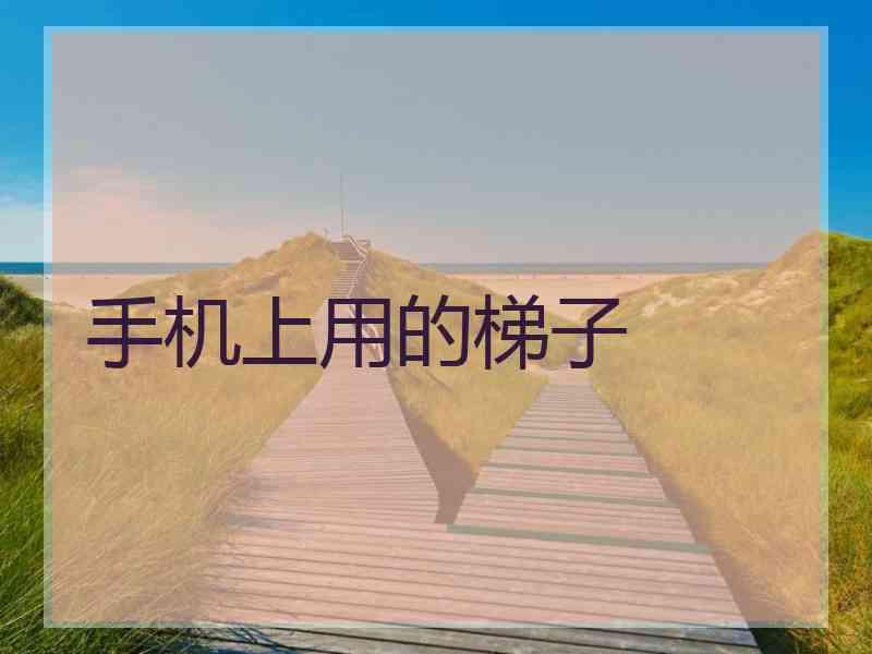 手机上用的梯子